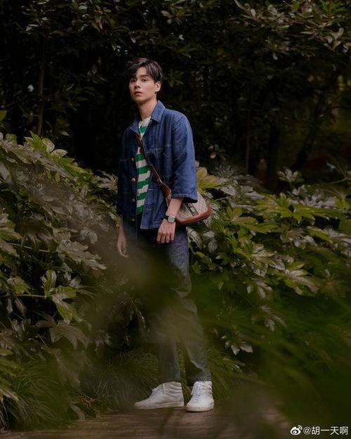 吃瓜娱乐胡一天完整版,吃瓜娱乐背后的明星生活全纪录