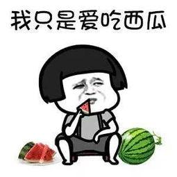 可以吃娱乐圈的瓜